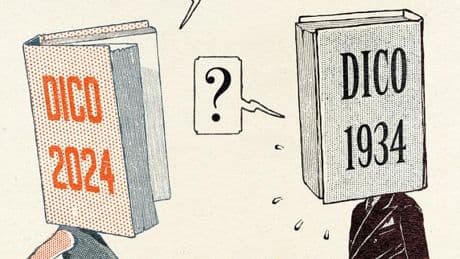 L’histoire des dictionnaires de langue française : de l’impossible inventaire à l’épopée des mots