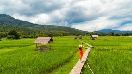Win a luxury luggage set worth over £1100 with Responsible Thailand