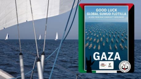 Flotilla per Gaza, cosa sapere: le 50 barche, il live track, quando arriva (e cosa rischiano gli attivisti)
