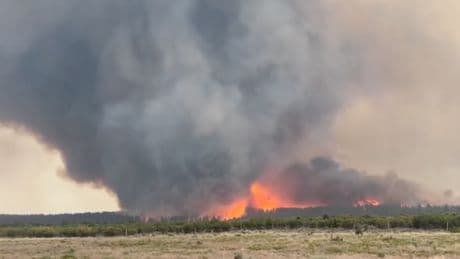 Watch moment Utah wildfire turns into huge fire vortex
