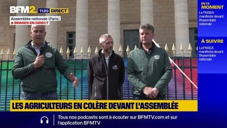 Acétamipride: Arnaud Rousseau (FNSEA) réagit aux débats autour du pesticide