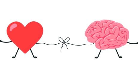 Lucy Vincent, neurobiologiste : «Nous n’avons pas tous le même cerveau amoureux, c’est la première clé pour comprendre son partenaire»
