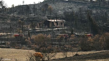 16.000 Hektar zerstört: Feuer in Südfrankreich durch Brandstiftung ausgelöst?