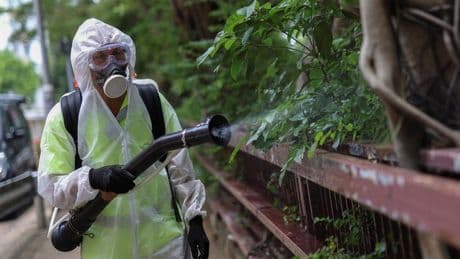Un brote de chikungunya infecta a más de 7.000 personas en China y dispara las alarmas en el mundo