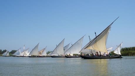775 años pescando en La Albufera