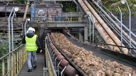 Beghin Say, La Perruche: le géant Tereos confronté à la baisse des prix du sucre