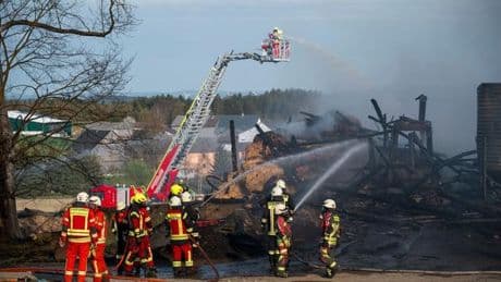 Feuerwehr-Einsatz: Auf Flucht vor Scheunenbrand: Kuh verletzt Mann