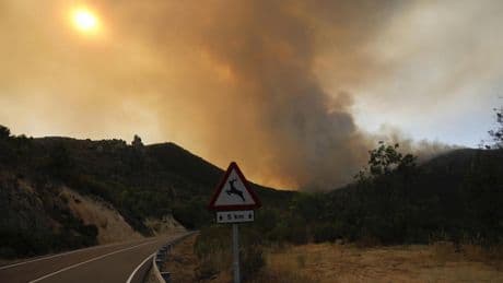 Qué debes hacer (y qué no) si te sorprende un incendio forestal mientras estás conduciendo