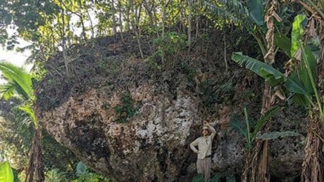 Sale a la luz cómo llegó la famosa 'roca gigante' de Tonga al extraño lugar donde se encuentra