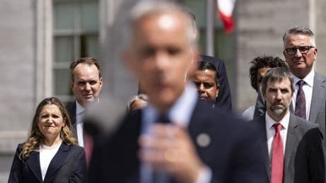 Liberal caucus to consider process for removing an unpopular party leader