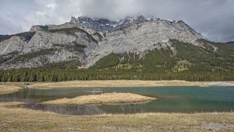 Hikers report friend had died in the mountains – they were all just high on mushrooms