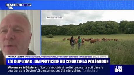 Pétition contre la loi Duplomb: "L'Anses a voulu faire du zèle en supprimant un grand nombre de produits autorisés en Europe", estime Patrick Legras (Coordination rurale)