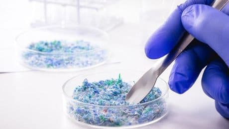 Wie gefährlich ist Mikroplastik für unsere Gesundheit?
