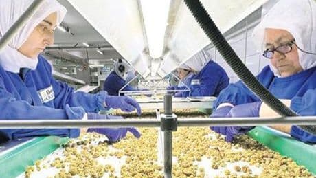 500 büyük şirketin 111’i gıda işliyor