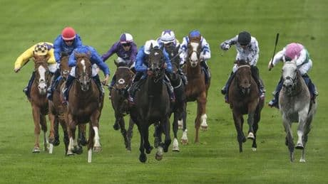Jockey eyes remarkable 300/1 redemption at Longchamp just days after brutal axe