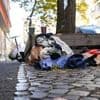 Ordnungsstadtrat in Berlins dreckigstem Bezirk: „Es gibt Menschen, die bewusst Müll auf die Straße schmeißen“