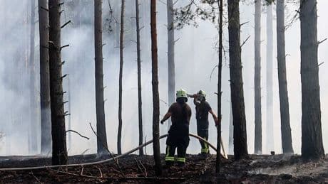 Riesige Rauchsäule kilometerweit zu sehen - Erster großer Waldbrand in Brandenburg