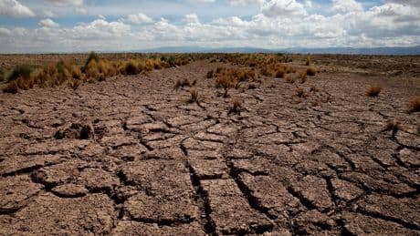 L'agriculture menacée par une sécheresse exceptionnelle dans le nord de l'Europe