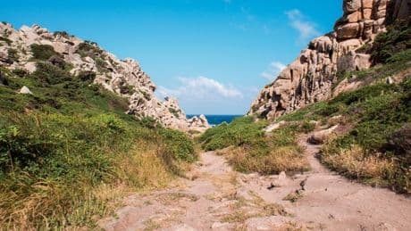 Valle della Luna, Riccardo Rundine morto dopo la notte in campeggio con gli amici