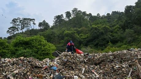 ‘Grave, growing, and underrecognized danger:’ New report sheds light on plastic pollution