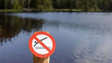 Badeseen in Nürnberg: Dieses Gewässer sollten Badegäste meiden