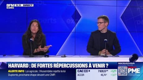 Les experts du soir - Lundi 26 mai