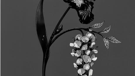 Haute joaillerie : quand la place Vendôme parcourt le monde