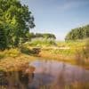 Regenwater in je tuin laten infiltreren? Deze oplossing werkt tegen wateroverlast, droogte én zorgt voor verkoeling