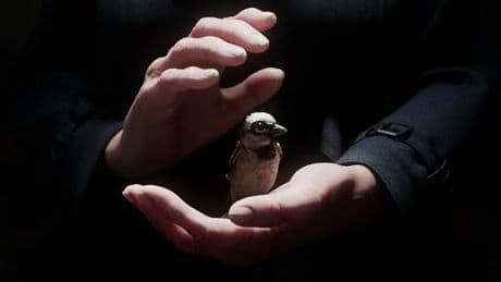 Film: Deutscher Regisseur gewinnt einen Studierenden-Oscar