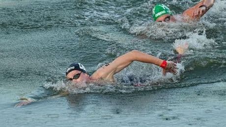 Schwimm-WM in Singapur: Freiwasserrennen mitten in der Nacht wegen Wasserqualität abgesagt