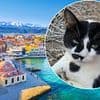 Tourists are flocking to a Greek island for a VERY unusual reason