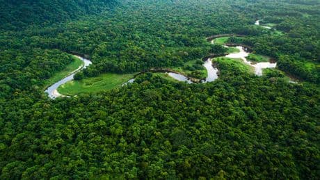 21 paraísos que mantienen el latido verde del planeta