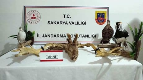 Hayvanat bahçesi gibi ev: Evinden çıkanlar hayrete düşürdü
