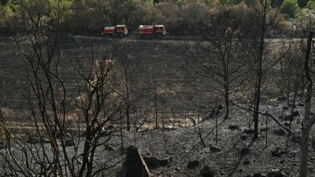 Incendie dans l’Aude : « la déprise viticole ouvre la voie au feu », estime l’élue écologiste Kattalin Fortuné