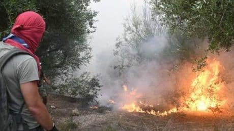 Yunanistan alevlere teslim! Bir günde 82 yangın çıktı, halk tahliye ediliyor