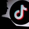 Meerdere minderjarigen roepen via TikTok op tot terrorisme, veertien arrestaties