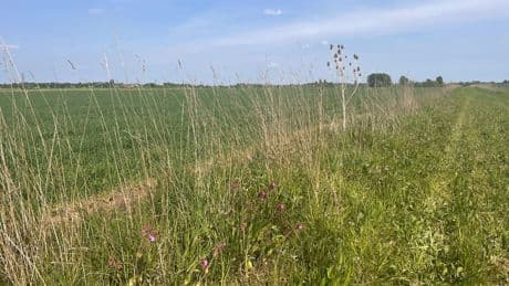 Around 3,000 farmers can apply for closed nature farming scheme after ‘error’