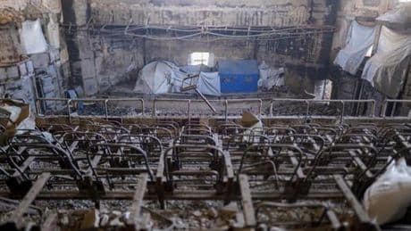 A Gaza, étudier « permet de ne pas penser tout le temps à la mort »