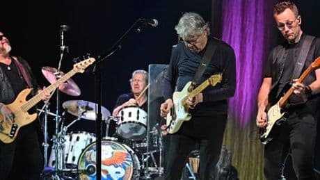 Steve Miller Band sagt Tournee ab: Schuld hat das Wetter