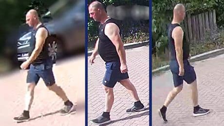 Politie deelt beelden van verdachte ernstig zedenmisdrijf in Zeist