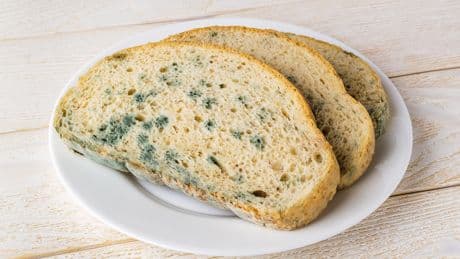 Schimmel auf dem Brot: So vermeiden Sie ihn
