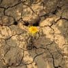 L'été 2025 a été le troisième plus chaud en France depuis le début des mesures en 1900, annonce la ministre de la Transition écologique