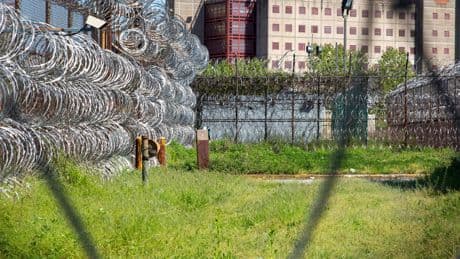 Judge Blocks ICE Plans for Rikers Island Office Indefinitely