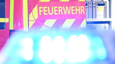 Sechs Tiere gerettet: Feuerwehr rettet Hunde und Katzen bei zwei Einsätzen