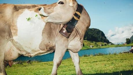 Ruhige Reiseziele: Langeweile? Lieben wir