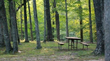 Kamp yaklaşırken: Vakıf üniversiteleri pikniğinde neler yaptık?