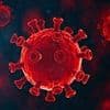 Shock Covid warning: Ultra-catchy 'Nimbus' variant could trigger summer wave amid 97 per cent infection surge
