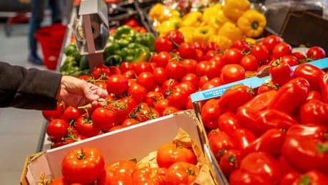 Quand le cabinet Louis Reynaud, spécialisé dans la cybersécurité, veut financer une épicerie solidaire contre des données biométriques