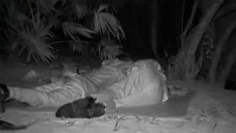 Momento hot a L'Isola dei Famosi: cosa è successo
