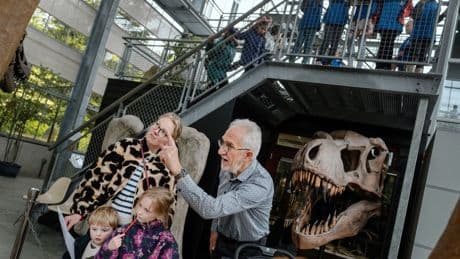 Directeur Oertijdmuseum: „Bleken we  opeens een compleet nieuwe soort dinosaurus in ons bezit te hebben”
